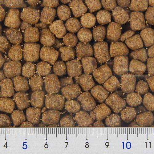 Zoo Med Natural Maintenance Formula Aquatic Turtle Food - size: 2.81 Pound (Pack of 1)