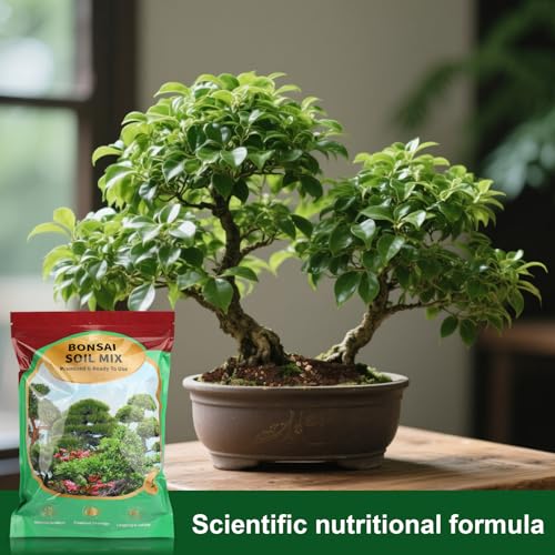 Doter Premium Bonsai Soil Mix with Enhanced Aeration & Drainage 1qt - Professional Grade Potting Soil for Bonsai Pots - color: Bonsai Soil, size: 1qt