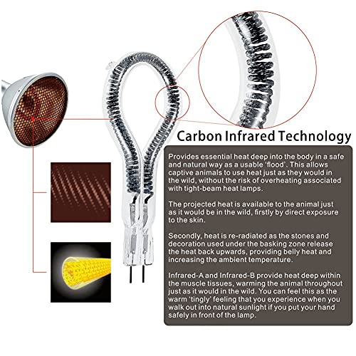 Deep Heat Projector Reptile Heat Lamp Bulb (DHP 100W, PAR30), Basking Light for Bearded Dragon & Leopard Gecko, Carbon Infrared Heater for Amphibian Pet