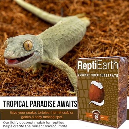 ReptiEarth Reptile Bedding, Fluffy Coconut Fiber Substrate 12 Quart Organic Coco Ready to Use for Bioactive Snake Terrarium, Lizard Tanks with Plants, for Frog, Tarantula or Hermit Crab Habitat (2 Pk) - size: 12 Quart (2 Pack)
