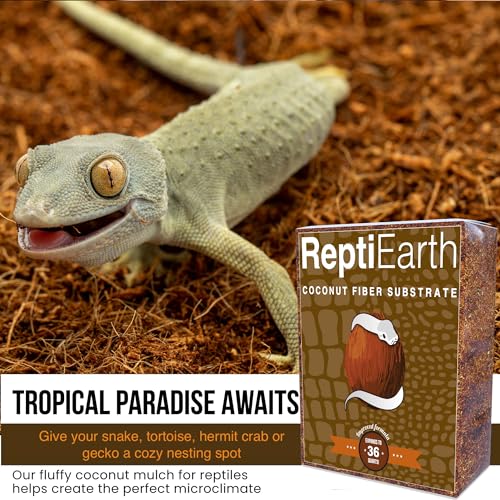 ReptiEarth Reptile Bedding, Fluffy Coconut Fiber Substrate 36 Quart Organic Coco Ready to Use for Bioactive Snake Terrarium, Lizard Tanks with Plants, for Frog, Tarantula or Hermit Crab Habitat (2 Pk) - size: 36 Quart (2 Pack)