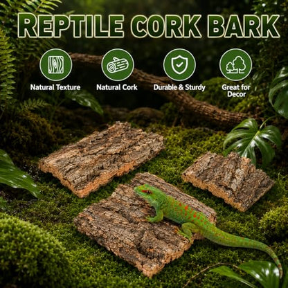 SHINEOFI 4 Pack Natural Cork Bark Reptile Hides for Terrariums | Random-shaped bark pieces for hides, basking platforms and enclosure landscaping for geckos, lizards, snakes and tortoises