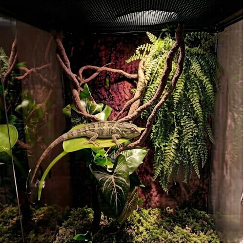 Bearded Dragon Tank Accessories, Terrarium Decor, Ball Python | Leopard gecko,Crested gecko, Chameleon cage accessories,Terrarium plants,Reptile decor,Starter kit,Snake decor,Hermit crab