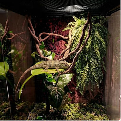 Bearded Dragon Tank Accessories, Terrarium Decor, Ball Python | Leopard gecko,Crested gecko, Chameleon cage accessories,Terrarium plants,Reptile decor,Starter kit,Snake decor,Hermit crab