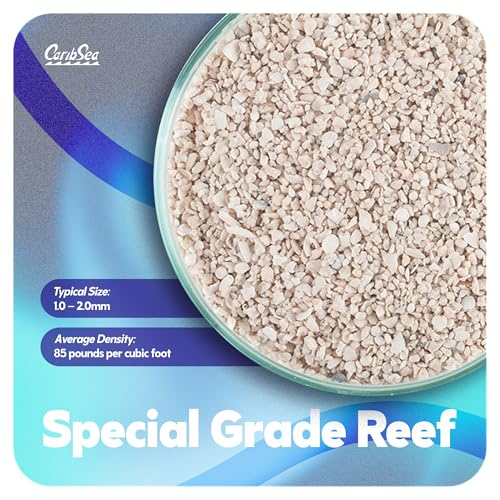 CaribSea Arag-Alive Special Grade Sand - 20 lbs - Natural Aragonite Substrate for Reef & Marine Tanks, Promotes Coral Growth & Biological Filtration - size: 20lb (Pack of 1)