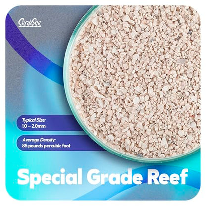 CaribSea Arag-Alive Special Grade Sand - 20 lbs - Natural Aragonite Substrate for Reef & Marine Tanks, Promotes Coral Growth & Biological Filtration - size: 20lb (Pack of 1)