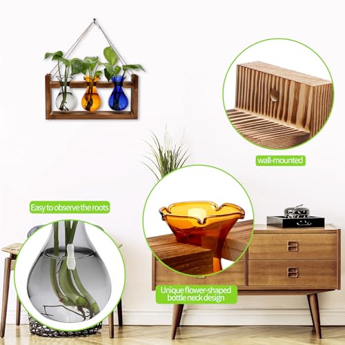 Plant Propagation Station Plant Terrarium Unique Birthday Gifts for Women | Plant Lovers Home Office Decor Planter with Wooden Stand - 3 Bulb Glass Vase