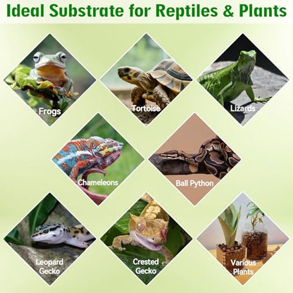 Halatool 2QT Leca Clay Balls for Terrarium Substrate – Lightweight Drainage | Organic Expanded Clay Pebbles for Reptile Bioactive Terrarium False Bottom, Hydro Balls for Leopard Gecko, Tortoise & Frog - size: 2QT