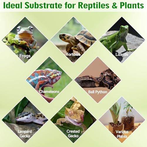 Halatool 8QT Leca Clay Balls Terrarium Substrate for Reptile | Organic Expanded Clay Pebbles for Moisture Retention & Drainage Layer, Lightweight & Reusable for Geckos, Tortoises & Frogs - size: 8QT