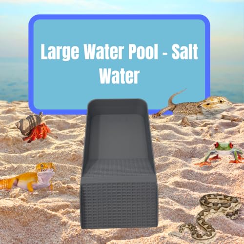 Hermit Crab, Lizard, Turtle, Amphibian XL Watering Pool | Platform Pool Accessory with Access Ramp for Pet Habitats | 9.75" x 5" | Made in USA (X-Large) (Salt Only, Gray) - color: Salt Only, Gray