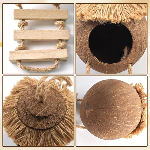 Gecko Coconut Hideout with Ladder,Reptile Hammock Plants Vines Jungle Terrarium Decor Tank Accessories for Crested Geckos,Leopard Geckos,Lizard,Snakes,Tree Frogs - style: 【Style D】