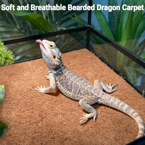 3 Rolls Reptile Carpet 24x48 Inch Coconut Fiber Mat for Tank Bedding | Natural Coconut Fiber Reptile Carpet Liner Flooring, Absorbent & Reusable For Bearded Dragons, Tortoises, Lizards & Geckos - size: 3 Pcs (24X48in)