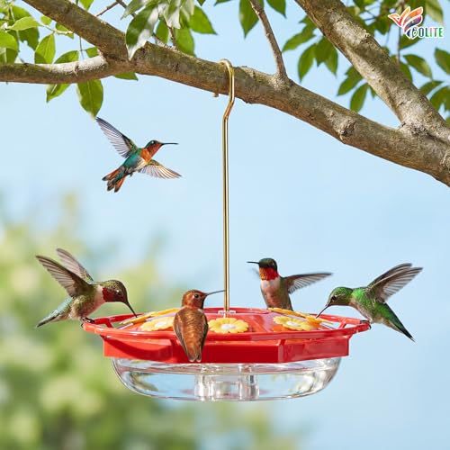 Hummingbird Feeder for Outdoors Hanging, Built-in Ant Moat, 2 Pack | Red, 8 Bee Proof Feeding Ports, 10oz, Leak Proof with Cleaning Brush, Easy to Clean & Fill, Yard Decor, Gift for Bird Lovers - color: Clear Red x 2