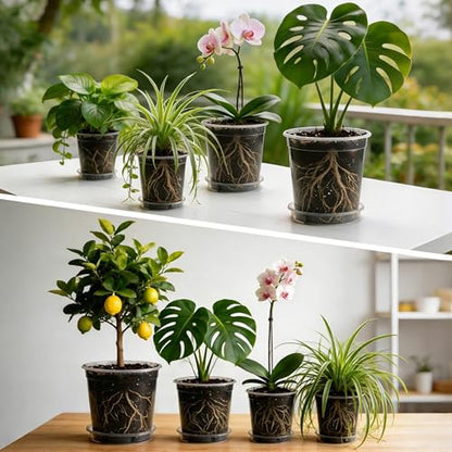 BTPLASTIK 2 Gallon Clear Nursery Pots with Saucers 5P, 7.5 Inch Round Plastic Plant Pots with Drainage Holes - size: 2 Gallon + Saucers 5P