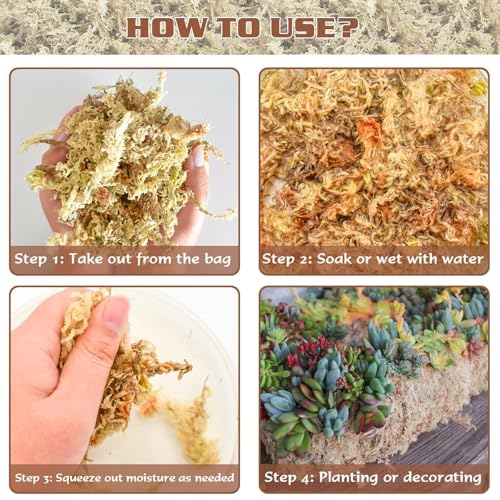 4 qt Sphagnum Moss for Indoor Plants, Natural Dried Long Fiber Moss for Orchid Repotting, Carnivorous Plants, Succulents, Monstera, Flower & Reptile Terrariums Habitats (3 oz) - size: 3oz