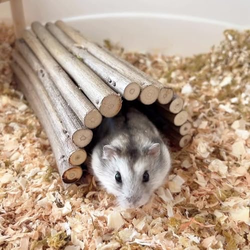 Natural Wooden Hamster Mouse Tunnel Tube, Small Animal Chew Toy for Rat Rodents