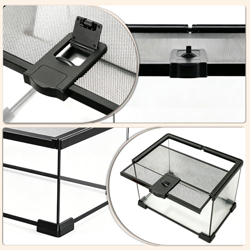 12x8x6 Reptile Enclosure, Glass Terrarium for Geckos, Lizards | Clear glass enclosure for leopard geckos, lizards, frogs, snails & isopods. Easy assembly with escape-proof locking lid.