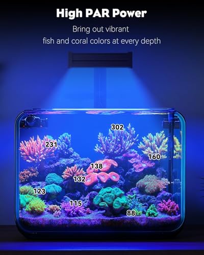 Pawfly 50 W Saltwater Aquarium Light for SPS & LPS Corals, Clip-On Dimmable LED Reef Light with Adjustable Brightness, Day/Night Modes, Timer, Blue RGB Violet UV Lighting for 1-40 Gallon Fish Tank - size: For 1 to 40 Gallon Fish Tank