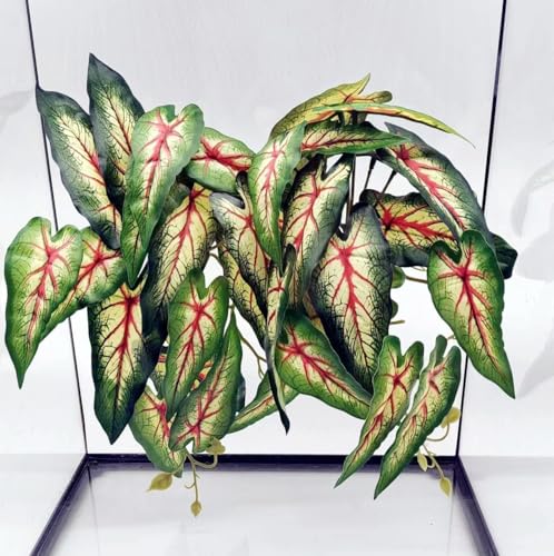 Reptile Plants for Terrarium, Reptile Tank Decor,Artificial Plants | Fake Plants for Ball Python Gecko Snake Enclosure,Hanging Plant with Suction Cup e,Amphibian Habitat Decor-2 pack - color: Alocasia Odora-a