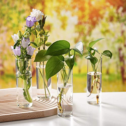 Terrarium Hanging Glass Wall Planters Air Plant Holders Round Glass Plant Pots Containers for Hydroponics Plants, Succulents, Herbs, Flowers (Cylinder 4pcs)