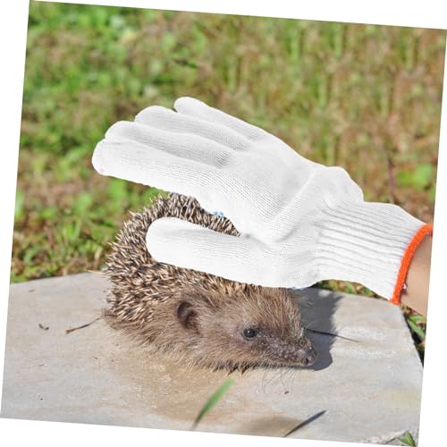 DOITOOL Bite Thickened Animal Handling Gloves for Pet Protection Scratch and Cut Resistant Gardening Gloves Breathable Soft Material Random Color Pair for Dog Cat Bird Reptile Random Color