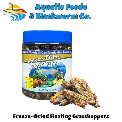 Grasshoppers, Freeze Dried Grasshoppers for Large Tropical Fish, Monster Fish, Reptiles, Turtles, Tortoises, Frogs, Hamsters, Birds, Rodents 1.0oz Canister - size: 1 Ounce (Pack of 1)