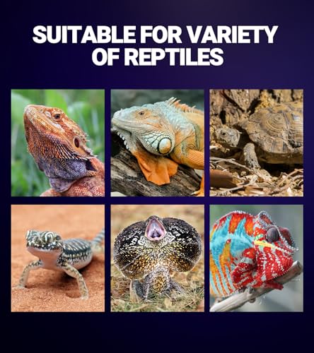 REPTI ZOO 75W Reptile Heat Lamp 2Pack Reptile Night Heat Bulb Night Heat Lamp Without UVA for Turtle Bearded Dragon Gecko Lizard and Snake E26/E27 Purple