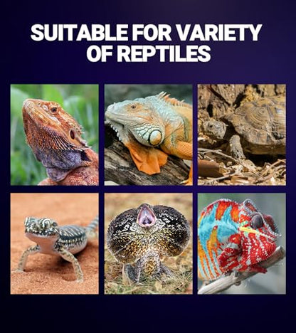 REPTI ZOO 75W Reptile Heat Lamp 2Pack Reptile Night Heat Bulb Night Heat Lamp Without UVA for Turtle Bearded Dragon Gecko Lizard and Snake E26/E27 Purple