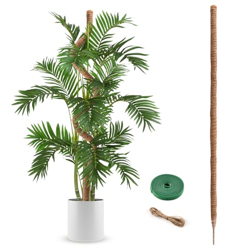 Moss Pole 63 Inch Monstera Plant Sticks Support Tall Long Stakes for Plants | Climbing Indoor Large Bendable Handmade DIY Shape Grow Upwards - color: 1 Pack