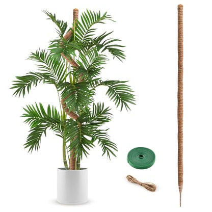 Moss Pole 63 Inch Monstera Plant Sticks Support Tall Long Stakes for Plants | Climbing Indoor Large Bendable Handmade DIY Shape Grow Upwards - color: 1 Pack
