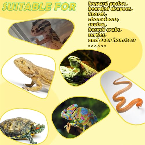 4 Pack Corner Reptile Food Water Dish, 3D Printed Quadrant Feeding Bowl for Leopard Gecko Lizard Bearded Dragon Chameleon Snake, Plastic Worm Feeder Plate for Small Reptile Pet Habitat