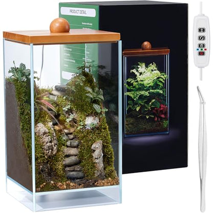 Large Glass Plant Terrarium: 13.7H+7.8W Terrarium with Light | Desktop Propagation Station for Succulent/Moss/Miniature Gardening Landscape/Betta Fish Tank