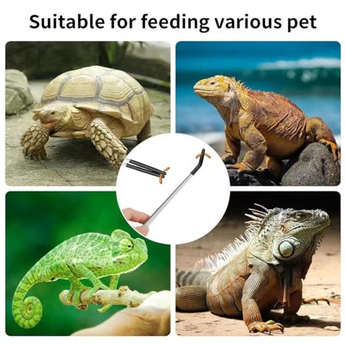 3PCS Stainless Steel Reptile Feeding Tongs with Rubber Tip,10.6” Straight&Curved Long Aquarium or Craft Tweezers,Bearded Dragon Reptile Gecko Frog Snakes Tank Enclosure Accessories (Tweezers&Spoon)