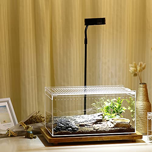 NANEEZOO Magnetic Enclosure for Spider, 12 x 8 x 6 Inch Reptile Breeding Box Terrarium Cage for Insect Tarantulas Amphibians Caterpillars Snail Clear Reptile Feeding Box
