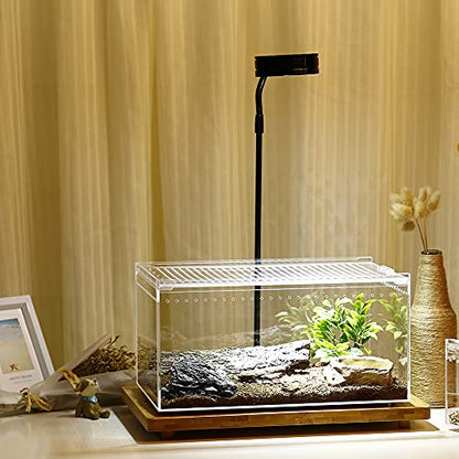 NANEEZOO Magnetic Enclosure for Spider, 12 x 8 x 6 Inch Reptile Breeding Box Terrarium Cage for Insect Tarantulas Amphibians Caterpillars Snail Clear Reptile Feeding Box
