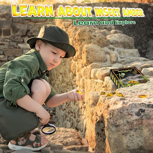 GobiDex Amber Dig Kit for Kids Ages 6+, Excavate 6 Insects Specimens | STEM Geographic Educational Bugs Toys, Excavation Toys for Fun Bugs Party Favors, Science Kits for Kids Age 6-8 8-12