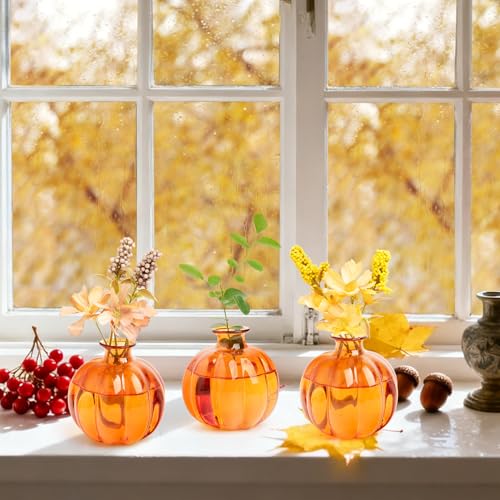 XXXFLOWER Plant Terrarium Propagation Stations Unique Gifts for Women Plant Lovers 3Pcs Pumpkin-Shaped Glass Vase for Tabletop Home Office Garden Decor (Plants NOT Included) - size: 3PCS Pumpkin Vase