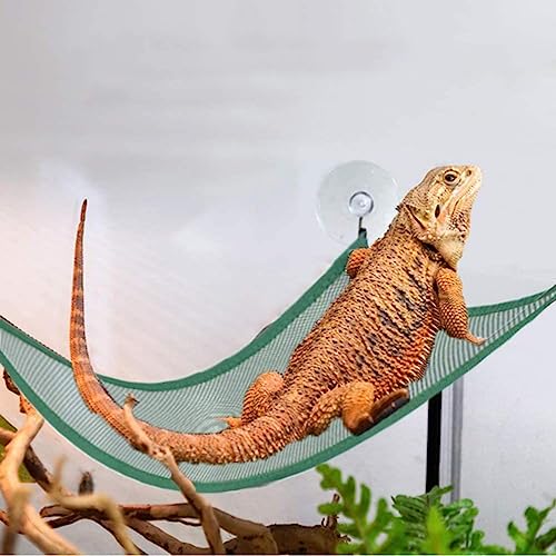 Bearded Dragon Lizard Hammock - Breathable Mesh Lounger Ladder Bearded Dragon, Reptile Hammock Accessories for Bearded Dragons Geckos Lizards - color: Green