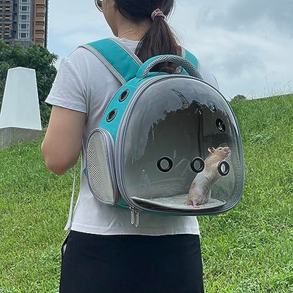 Portable Travel pet Backpack Carrier Hamster Bag Guinea Pig Bird Small Dog cat Turtle Carrier Rabbit Cage Squirrel Bearded Dragon Breathable Hangbag (Green) - color: green