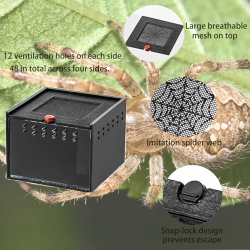 Black Acrylic Jumping Spider Enclosure Cage for Insect Reptile Isopods | Semi-concealed Portable Breeding Enclosure, Sliding Lid Handheld Design Easy to Observe Jumping Spiders and small pets