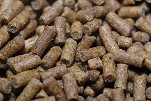 Wpc-Co. Aquarium Shrimp Food - Sinking Pellets for Aquatic Shrimp, Snail, Bottom Feeders - Complete Nutrition for Tropical Shrimps and Other Invertebrates