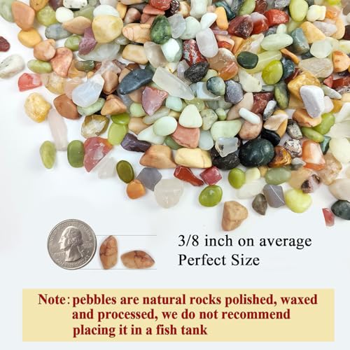 FANTIAN Succulent Rocks, 3/8 Inch Polished Pebbles for Indoor Plants, Decorative River Rocks for Plants Indoor, Vase Fillers, Cactus Planters, Bird Bath, Fountain, Outdoor Garden Landscaping - size: 1 pound, style: Colorful