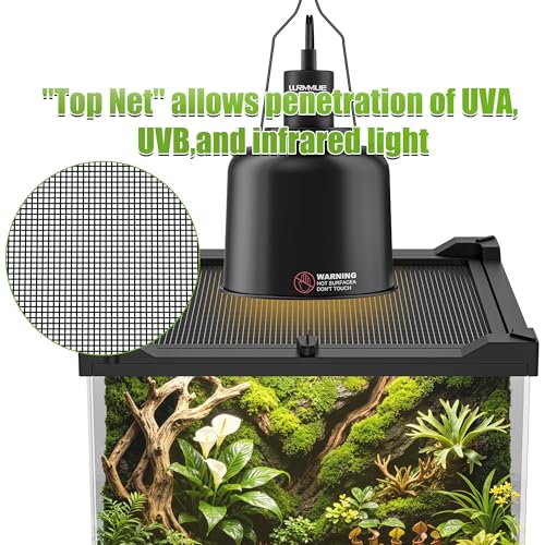 8" x 8" x 12" Mini Vertical Glass Reptile Terrarium | Front Opening & Fully Assembled Enclosure Tank for Crested Geckos, Tree Frogs, Tarantulas, Jumping Spiders & Tiny Reptiles - size: 8" x 8" x 12"
