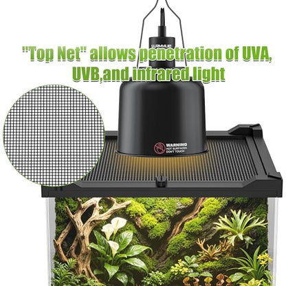 8" x 8" x 12" Mini Vertical Glass Reptile Terrarium | Front Opening & Fully Assembled Enclosure Tank for Crested Geckos, Tree Frogs, Tarantulas, Jumping Spiders & Tiny Reptiles - size: 8" x 8" x 12"