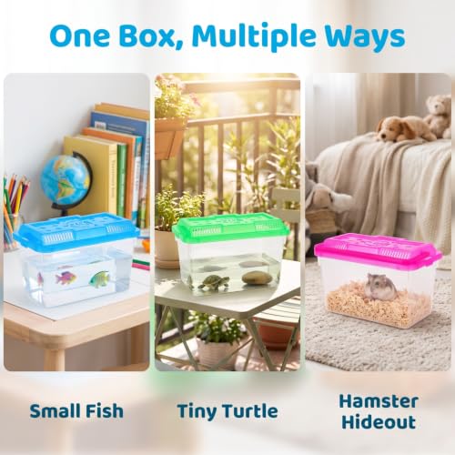 NOLITOY 4 pcs Thick Plastic Portable Fish Tank Mini Aquarium Travel Carrier | Clear Viewing Box, Sturdy Handle Design, Turtle Breeding Habitat, Multi Color Theme, Reptile Clinic Transport Gear, 5.90 inch
