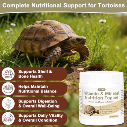 AETHER Tortoise Calcium Powder Mineral Supplement for Herbivorous Tortoises Shell & Bone Care Daily Feeding Additive for Grassland Species