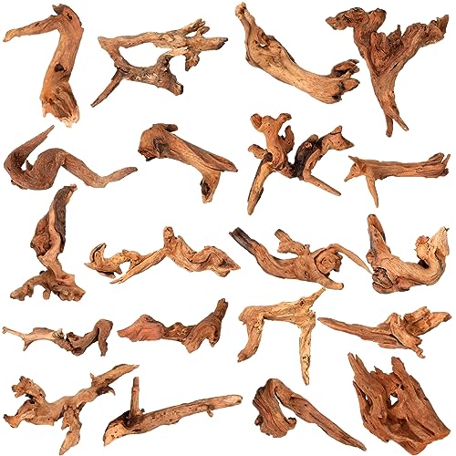 Suzile 20 Pcs Small Natural Coral Driftwood for Aquarium 4-7 Inches Driftwood Assorted Shapes Reptile Terrarium Decor Drift Wooden Branch for Fish Tank Aquarium Decoration