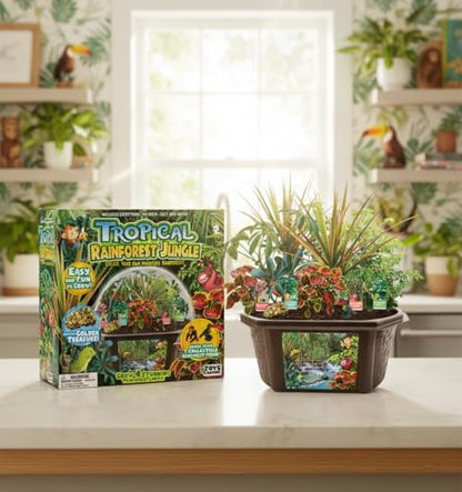 Toys by Biosphere Terrarium Starter Kit with Complete Supplies to Create Your Own Jungle! Indoor Plants for Home Displays and Gardens (Tropical Rainforest Jungle) - style: Tropical Rainforest Jungle