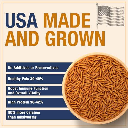 USA Grown Black Soldier Fly Larvae for Chickens - 100% Natural Dried Mealworms for Chickens - Grubs with 75X More Protein Chicken Treats for Laying Hens - Birds Feed Supplement for Ducks & Reptiles - size: 5 Pound (Pack of 1)