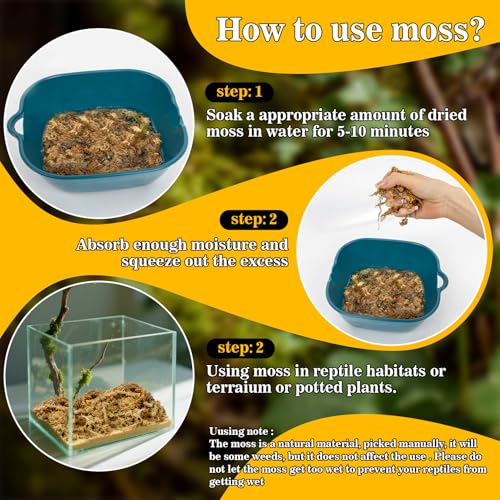 RAINFLOW Sphagnum Moss for Reptiles - 5.6 OZ Reptile Peat Moss for Terrarium Bedding Reptiles Snake Substrate for Reptile Tank, Snake, Leopard Gecko, Ball Python, Crested Gecko, Turtle, Frog, Hamster